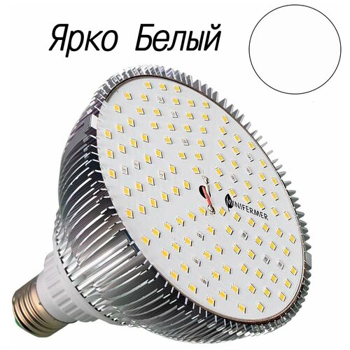 ���������� ��������� ������������ �27 25 Watt ������� ������� 5000k + 660nm