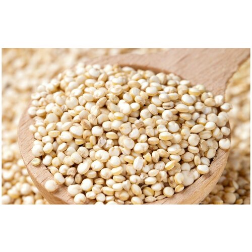    (. Chenopodium quinoa)  250