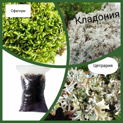 ���������� ����� ��� ���������� 