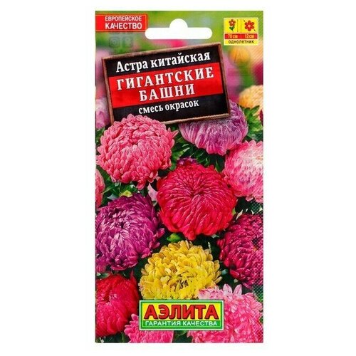 ���������� ������ ������ ����� 