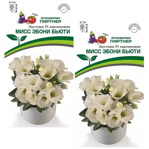 ���������� ������ ������� ���������� ���� ����� ����� F1 /��������� �������/ 2 �������� �� 5 �����