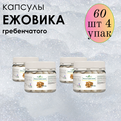 ���������� ������ ���� ����������� � �������� ����-��������, ����������� ������� ������� 60 ��*4 ��������