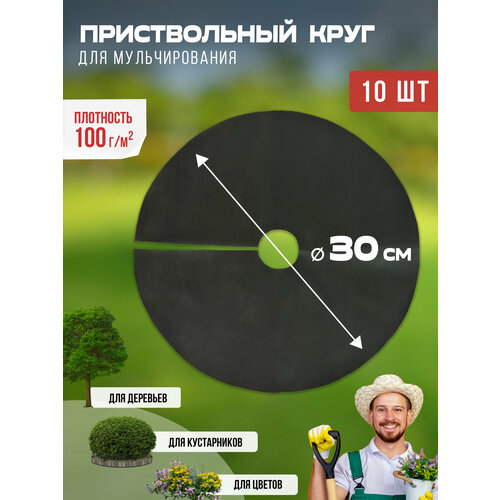 ���������� ������������ ���� ��� ������������� 100 ��/�2, ������� 30 ��, 10 �� ������