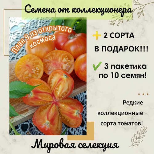 ���������� ����� ���� 9 �� ��������� �������, �������� ���� ��������, ���, ������������� ����