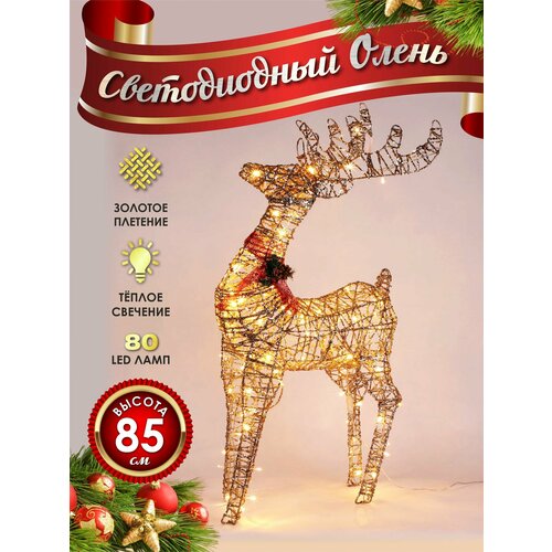 ���������� ����� ���������� ������������ ���������� 80 �� �������