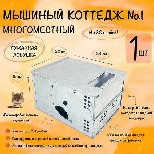 ���������� ��������� ��������, ������� ��� ����� �������, ������� �� 25 ��������, ������� �������, �����, 1 �����