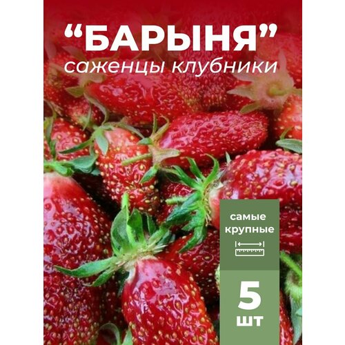 ���������� �������� ����� ������������� ������, �������/��������� �������� 5 ��