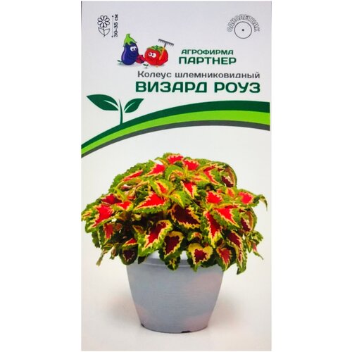 ���������� ������ ������� ��������������� 