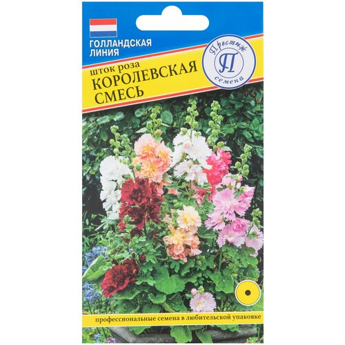 ���������� ���� ���� ����������� �����, 0.1 �