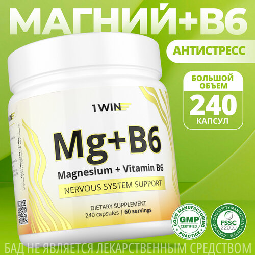 1WIN     6 ( 6),       , Magnesium Citrate, 240    , -, 