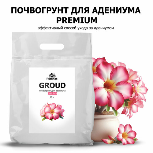 ���������� ���������� Premium ������ 10 � ��� �������� � ������ ������� � ������ � �������� ������ ��������