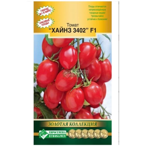 ���������� ������ ����� �����( �����, �����)3402 (5�����)