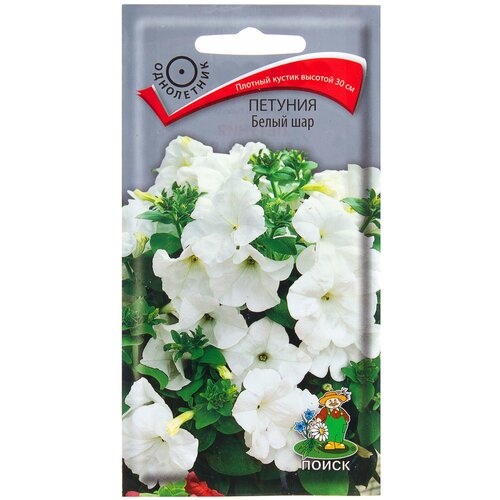 ���������� ������ ����� ������� ����� ��� 0.1 �