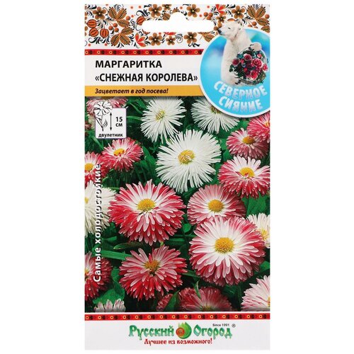 ���������� ������ ������� ������ �������� ������ ���������� ������� �������� �����, 300 ��.