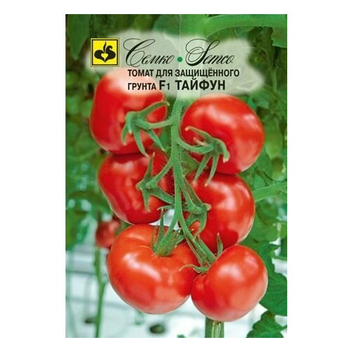 ���������� ������ ����� ������ F1 10�� ����� ������ (�����)