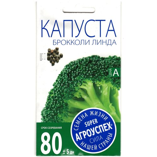 ���������� ������ ��������� 