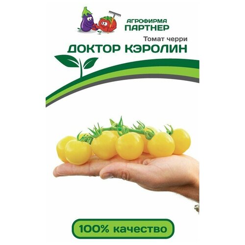 ���������� ������ ����� ������ ������� (10 �����) - �������