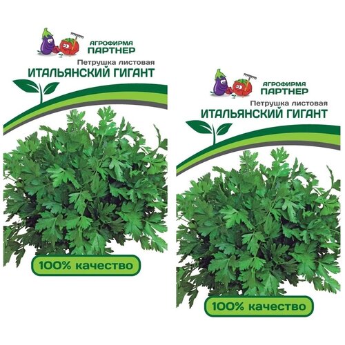 ���������� ������ �������� �������� ����������� ������ /��������� �������/ 2 �������� �� 2 � �����