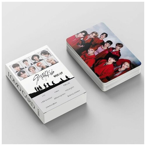 ���������� �������� Stray kids ���� ����� 