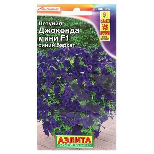 ���������� ������ ������� �������� ���� F1 ����� ������, 7 ��