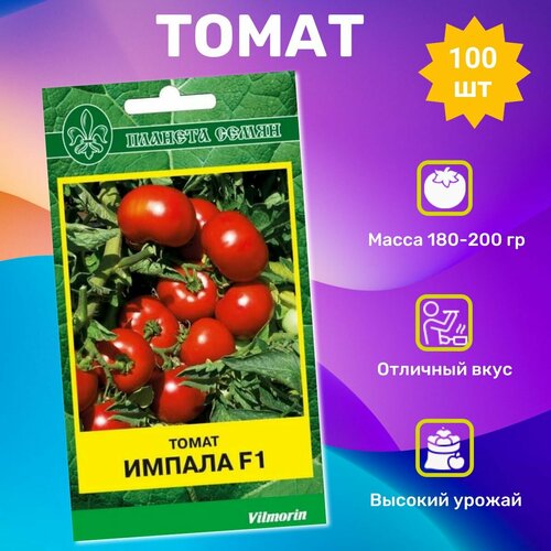 ���������� ������ ������ ������ F1 100��. ���������� ��������