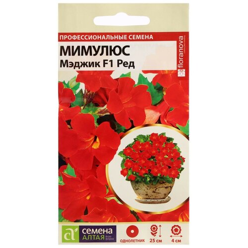 ���������� ������ ������ ����� ������� ������ F1 ���,10 ��.