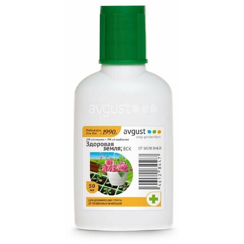 ���������� Avgust �������� ��� ����������� ������ �� ��������� �������� �������� �����, 50 ��