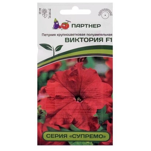 ���������� ������ ������ ������� '��������', F1, �������������, �������, 5 ��