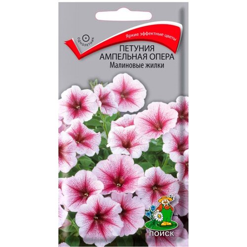 ���������� ������ ����� ������� ��������� ����� ��������� ����� 5 ��.