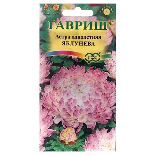 ���������� ������ ������ ����� �����������, 