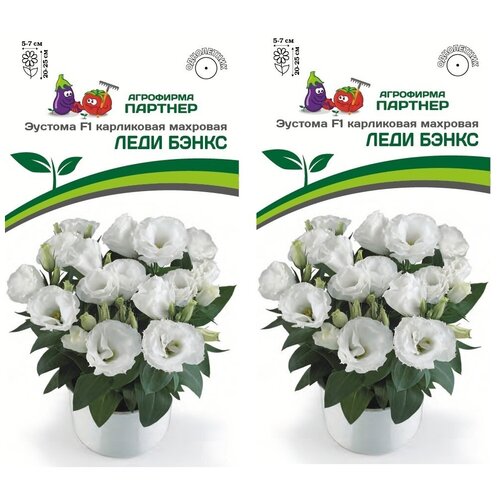 ���������� ������ ������� ���������� �������� ���� ����� F1 /��������� �������/ 2 �������� �� 5 �����