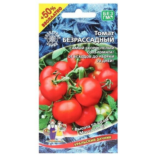 ���������� ������ ����� 