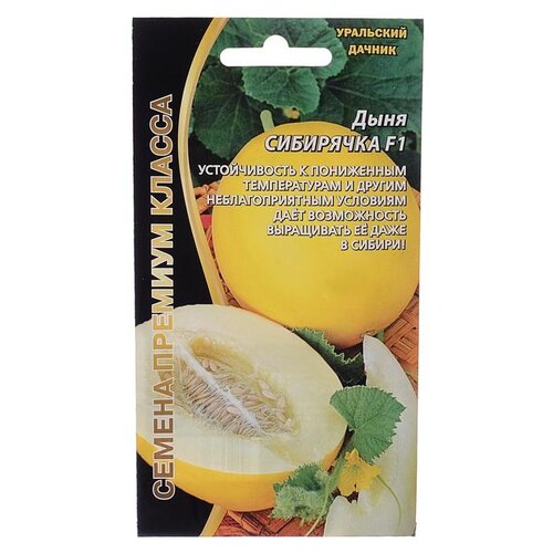 ���������� ������ ��������� ������ ���� ��������� F1, 10 ��.