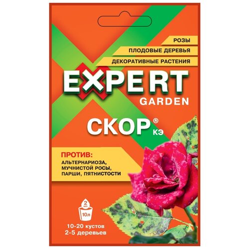 Expert Garden          , 2 , 5    , -, 