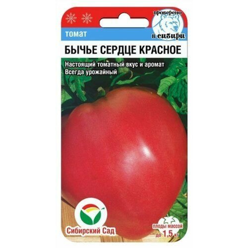 ���������� ������ ����� ����� ������ ������� 20�� ����� (��������� ���)