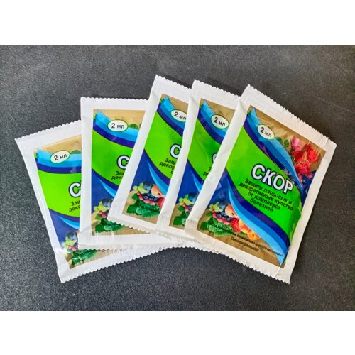 ���������� �������� ��� ������ �������� �� �������� ����, 5�� �� 2 ��