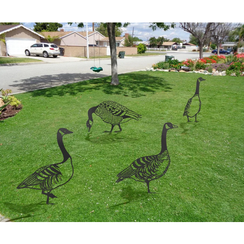 ���������� ����� ������ �� ������� ��� ����, ���� 