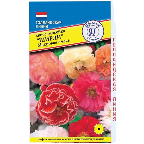 ���������� ������ ���� ��������� 