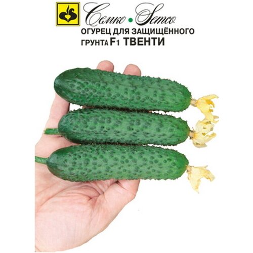 ���������� ������ ������ F1 ������ (�� ������ �������) 10 ���� ����� �����