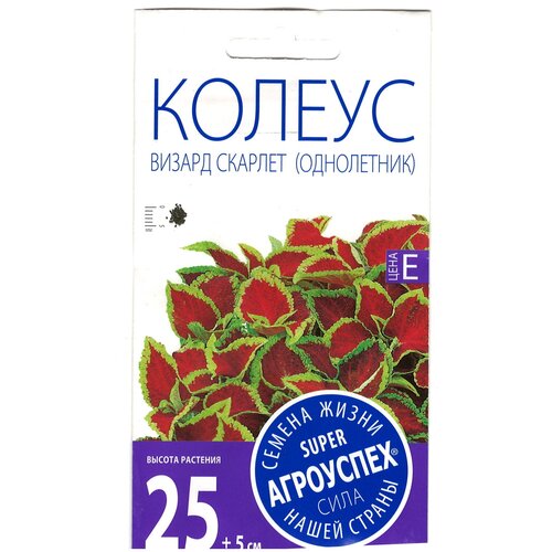 ���������� ������ ��������� 