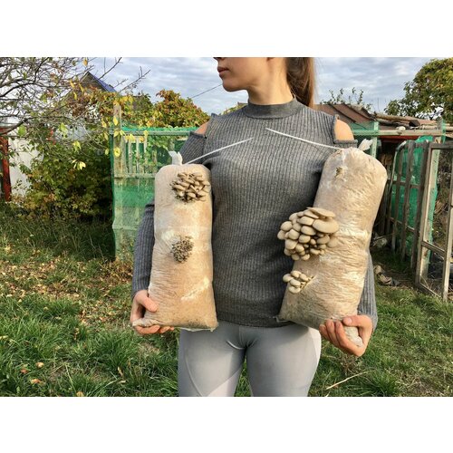 ���������� ������� ������� �������� (����� �17) - 150 ��.