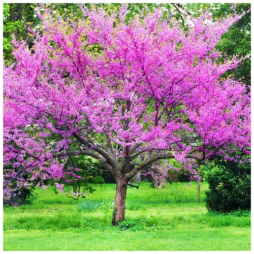 ���������� ��������� ��������� ����, ������, 30 ��