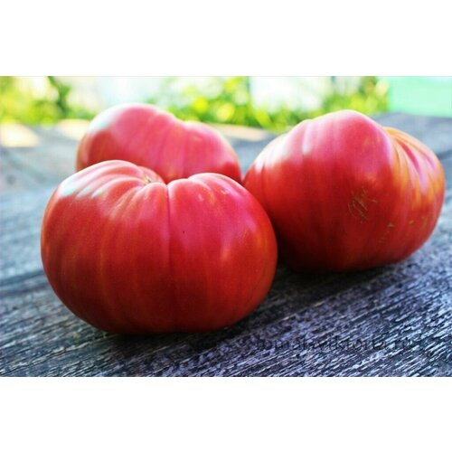 ���������� ������������� ������ ������ ������������� ������ ������