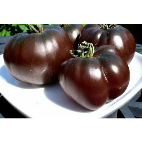 ���������� ������������� ������ ������ ׸���� �����