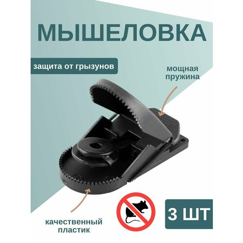 ���������� 3 ��������� - ������ ������������ ������� ��� �����