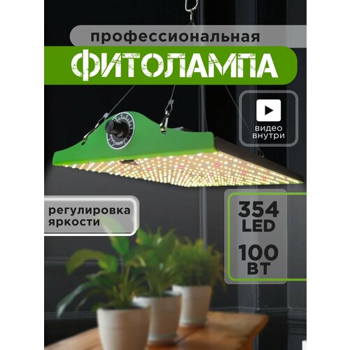 ���������� ��������� 100�� Quantum Board �� ������ ��������