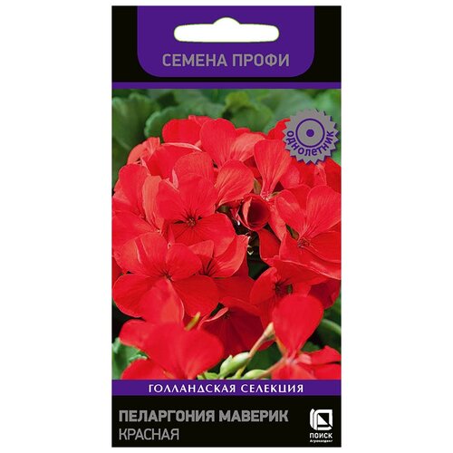 ���������� ������ ����� ����� ���������� ������� ������� 5 ��