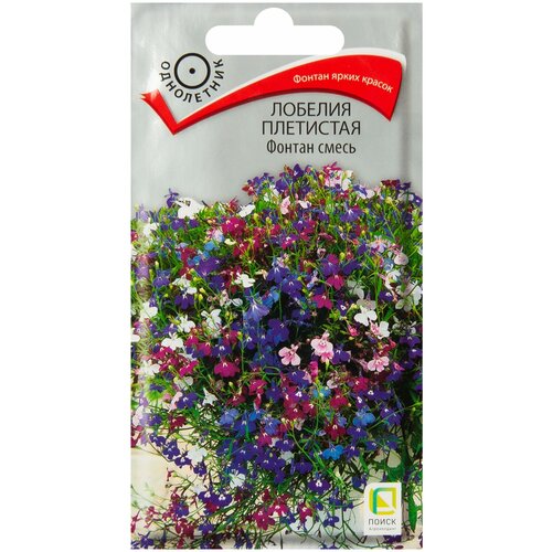 ���������� ������ ������ ������� ��������� 