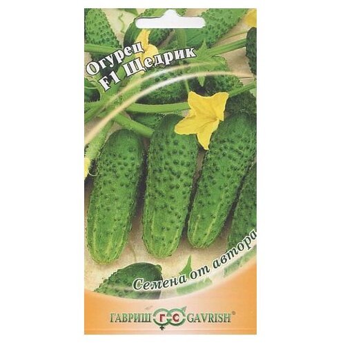 ���������� ������ ������ ������ �� ������ ������ ������ F1 ������ 10 ��.