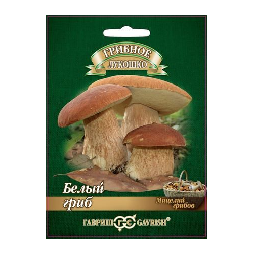 ���������� ������ ������� ������� ����� ���� �� �������� ��������� 15 ��